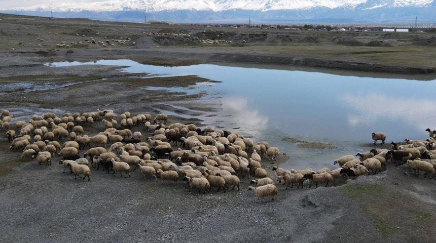 Bahar gelmesiyle birlikte g&uuml;nl&uuml;k 5-6 bin lira tasarruf yapıyorlar