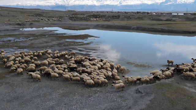Bahar gelmesiyle birlikte günlük 5-6 bin lira tasarruf yapıyorlar