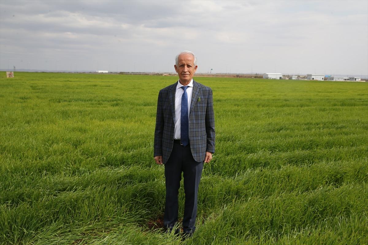 G&uuml;neydoğu da milli yazılımla g&uuml;breleme yapan &ccedil;ift&ccedil;iler maliyetlerini d&uuml;ş&uuml;r&uuml;yor 2