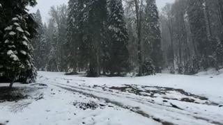 Bartın'da yağmur ve kar yağışı etkili