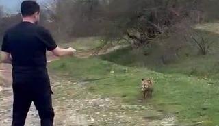 Yanına yaklaşan tilkiyi elleriyle besledi