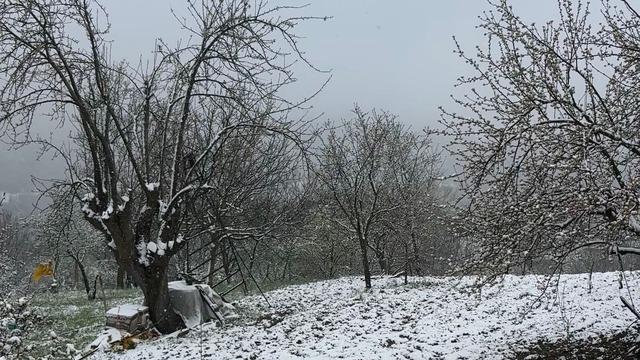 K&uuml;tahya ya mayıs ayında kar yağdı! 4