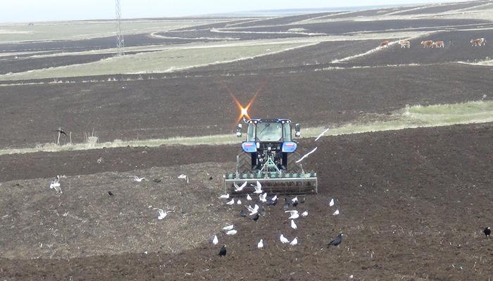 Zamanla yarışıyorlar: Takvimi alt&uuml;st etti 'Yetiştirmeye &ccedil;alışıyoruz'