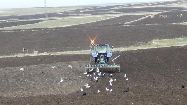 Zamanla yarışıyorlar: Takvimi altüst etti 'Yetiştirmeye çalışıyoruz'
