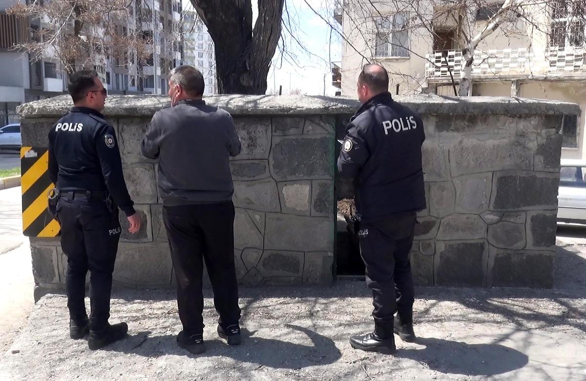 T&uuml;rbesinin altını &uuml;st&uuml;ne getirdiler: Gece yarısı define kazısı 1