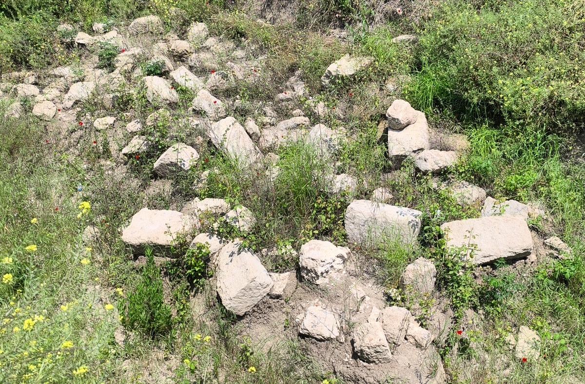 Mersin de şaşırtan keşif! Roma d&ouml;nemine ait &ccedil;ıktı: 8 adet bulundu 6