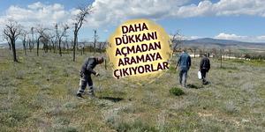 'Altın bulsam bu kadar sevinmem' G&uuml;nde 3 kilo, kilosu 1500 TL