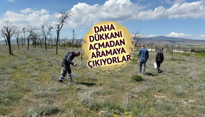 'Altın bulsam bu kadar sevinmem' G&uuml;nde 3 kilo, kilosu 1500 TL