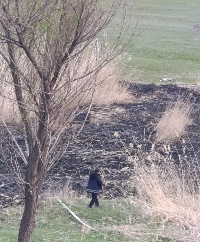 Van&rsquo;da sazlık alanda yangın 2
