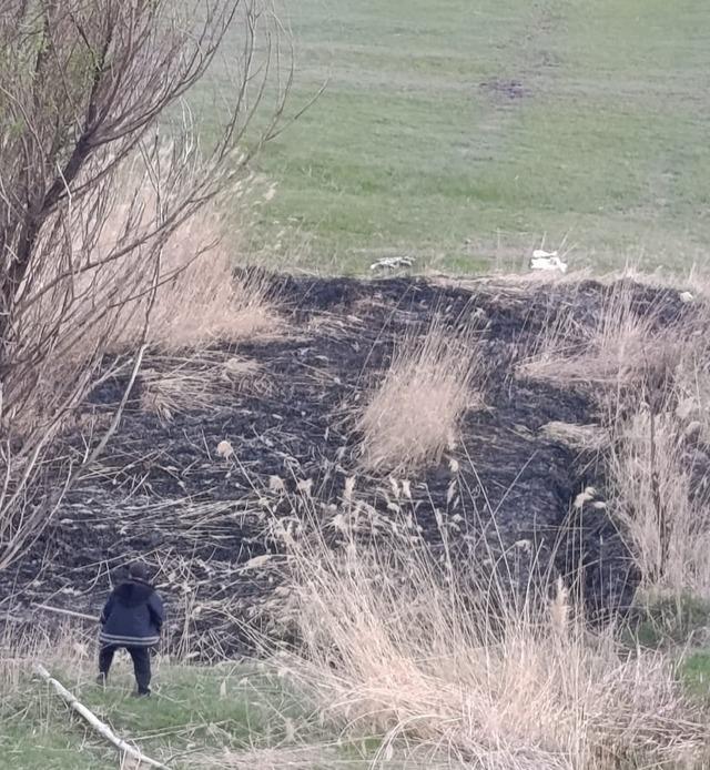 Van&rsquo;da sazlık alanda yangın 1