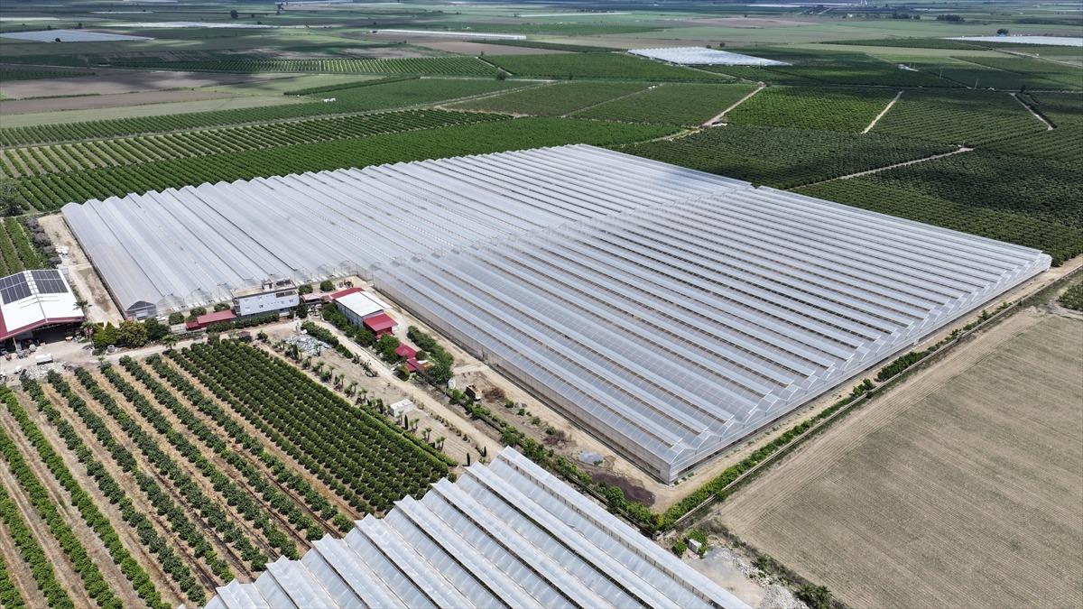  Bir ilk  oldu: Şefler tercih ediyor, yurt dışından talep &ccedil;ok 1