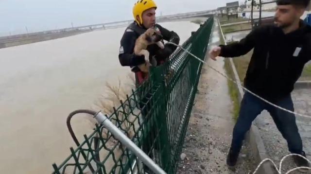 Batman &Ccedil;ayı&rsquo;nda adacıkta mahsur kalan k&ouml;pek kurtarıldı 3