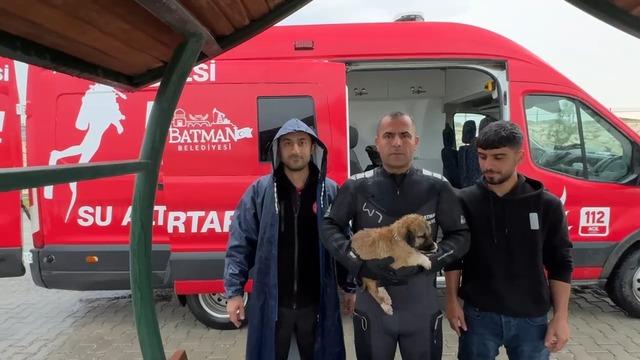Batman &Ccedil;ayı&rsquo;nda adacıkta mahsur kalan k&ouml;pek kurtarıldı 1