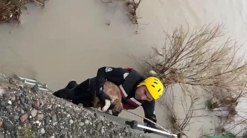 Batman &Ccedil;ayı&rsquo;nda adacıkta mahsur kalan k&ouml;pek kurtarıldı