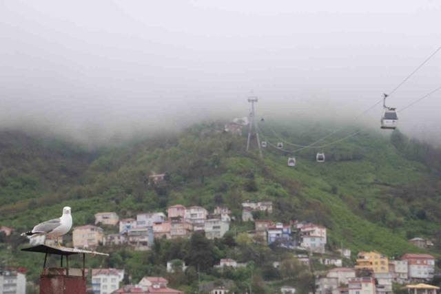Boztepe sisle kaplandı 2