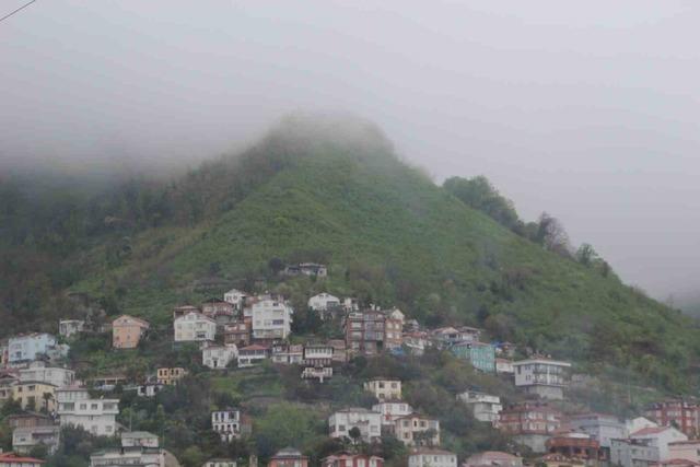 Boztepe sisle kaplandı 1
