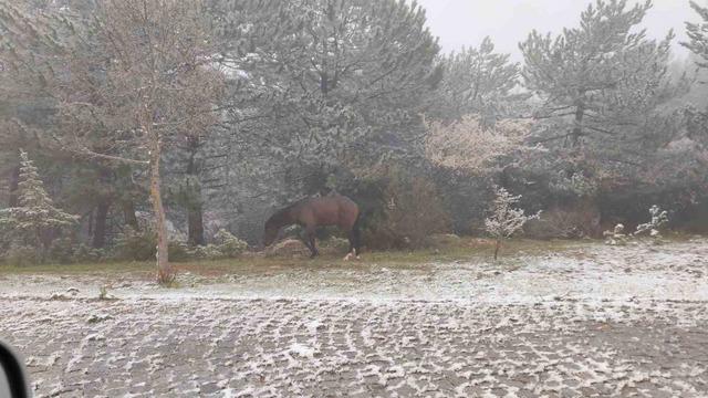 Spil Dağı&rsquo;na Mayıs ayında kar yağdı 4