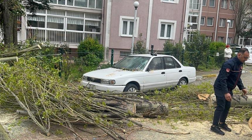 Beylikd&uuml;z&uuml;'nde şiddetli r&uuml;zgar nedeniyle ağa&ccedil; devrildi