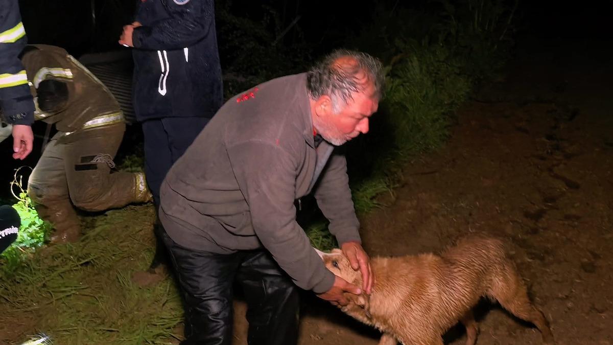 Dere taştı, çiftlik sahibi son anda kurtarıldı: 'Her şeyim gitti' - Mynet Yaşam