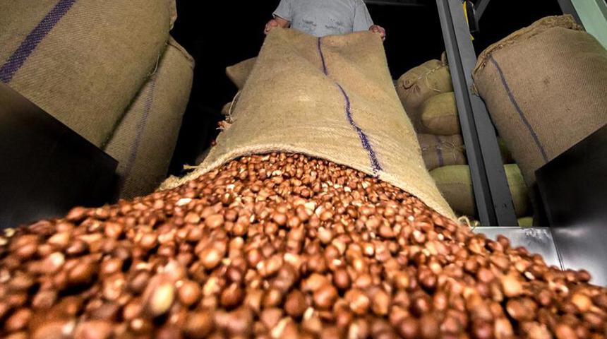 Doğu Karadeniz'den ilk 4 ayda 678 milyon dolarlık ihracat