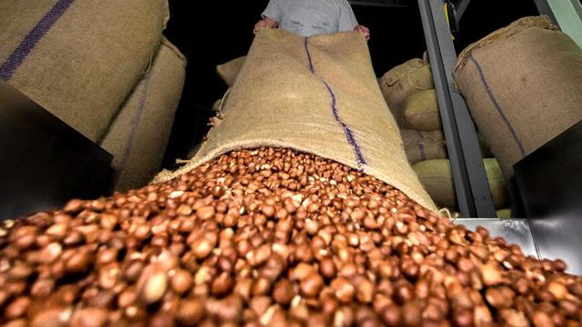 Doğu Karadeniz'den ilk 4 ayda 678 milyon dolarlık ihracat