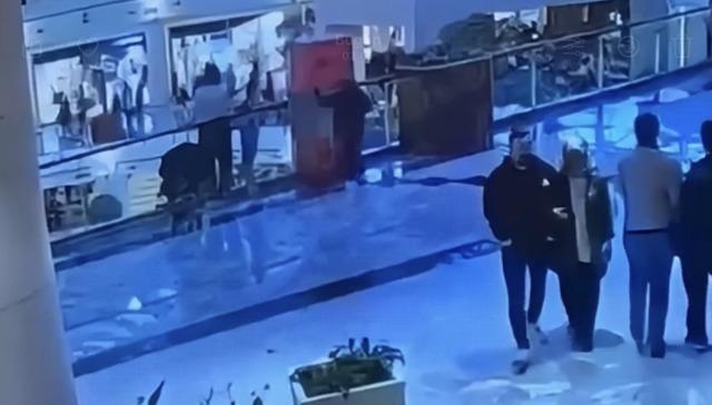 10 yaşında 92 su&ccedil; kaydı var! AVM de &ccedil;anta &ccedil;alan &ccedil;ocuk yakalandı 1