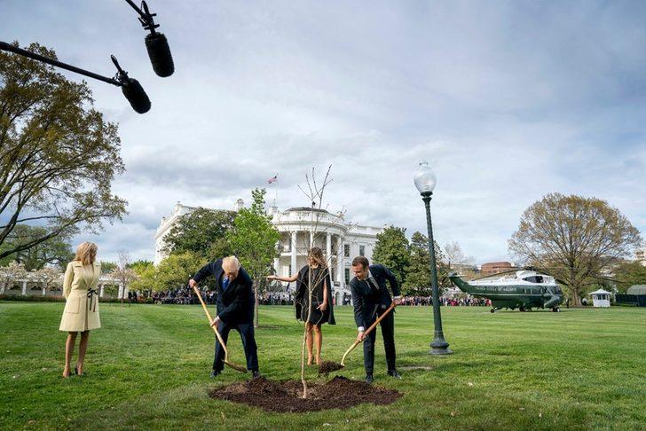 Trump ile Macron ağaç dikti