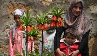Bah&ccedil;esinde 700 bin liralık &ccedil;i&ccedil;ek yetiştiriyor! 'G&ouml;z&uuml;m gibi bakıyorum'