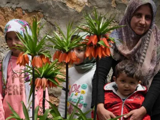 Bah&ccedil;esinde 700 bin liralık &ccedil;i&ccedil;ek yetiştiriyor! 'G&ouml;z&uuml;m gibi bakıyorum'