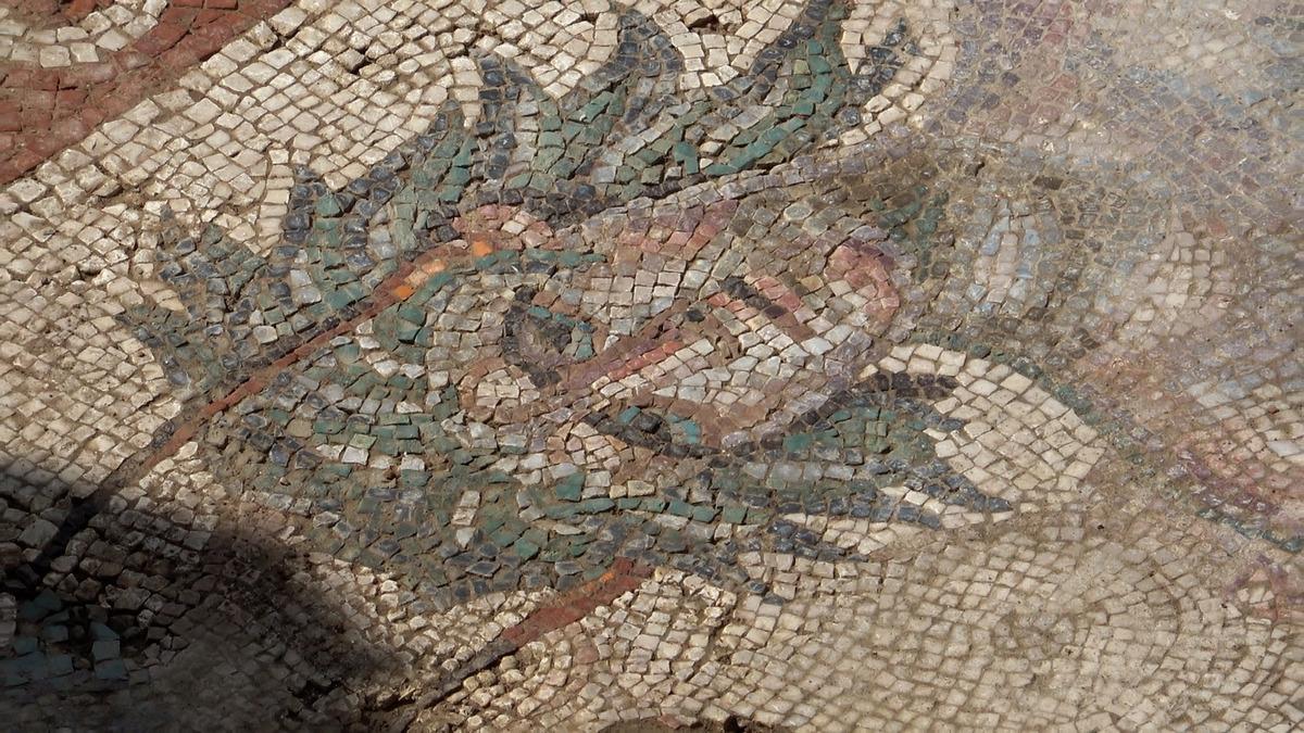 Toprağın altından &ccedil;ıkan  l&uuml;ks : 1800 yıllık  &Tau;&Rho;&Upsilon;&Phi;&Eta;  yazılı mozaik bulundu 2