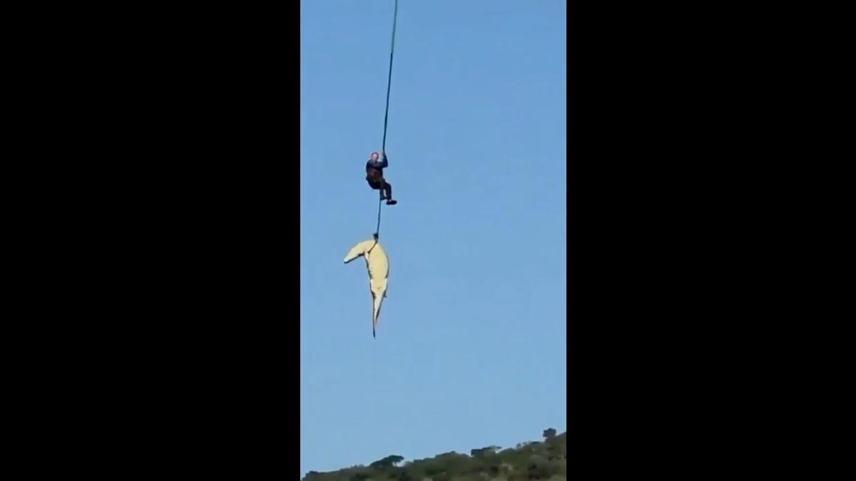 İş adamını yutan dev timsah! Yeni detaylar kan dondurdu 4