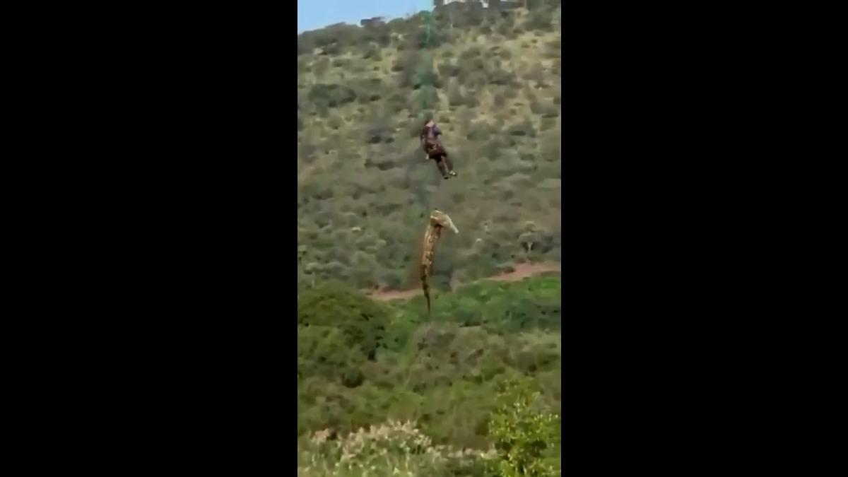 İş adamını yutan dev timsah! Yeni detaylar kan dondurdu 3