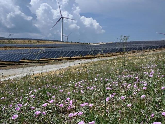 Spot piyasada elektrik fiyatları (5 Mayıs 2026)