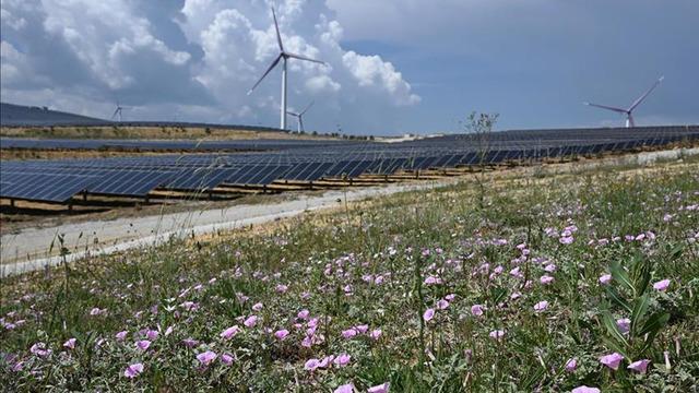Spot piyasada elektrik fiyatları (5 Mayıs 2026)