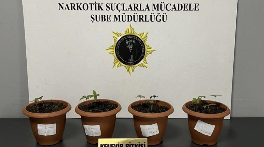 Samsun&rsquo;da uyuşturucu operasyonu: 4 g&ouml;zaltı