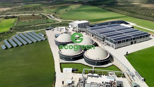 ECOGR temett&uuml; dağıtacak mı? Karar geldi