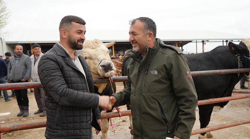 Kurban Bayramı hareketliliği başladı: 850 kilogramlık tosun 340 bin liraya alıcı buldu