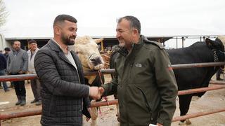 Kurban Bayramı hareketliliği başladı: 850 kilogramlık tosun 340 bin liraya alıcı buldu