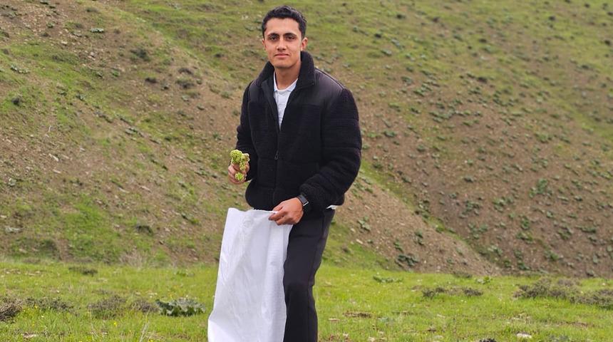 B&ouml;lgede gelir kapısı oldu: Toplayıp kilosunu 150 TL'ye satıyorlar