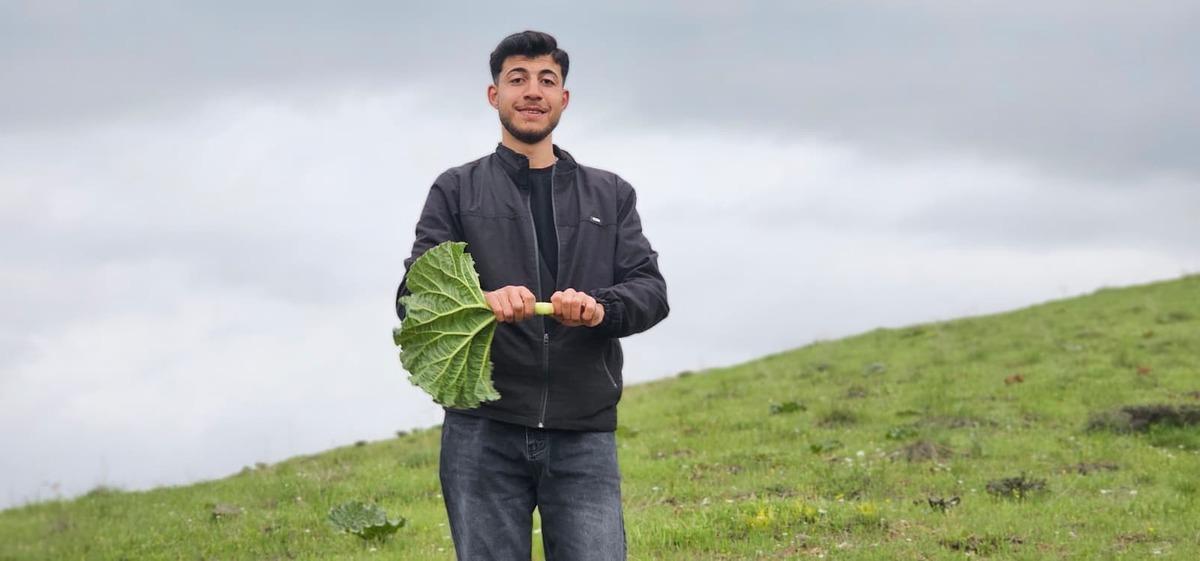 B&ouml;lgede gelir kapısı oldu: Toplayıp kilosunu 150 TL ye satıyorlar 6