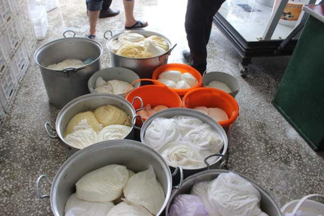 G&uuml;nde 100 ton &uuml;retiliyor ama bir tane bile marka yok