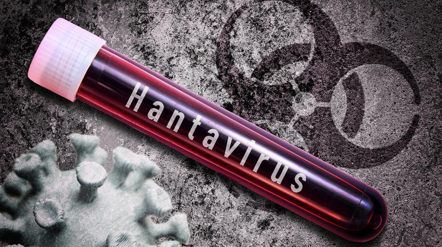 DS&Ouml; a&ccedil;ıkladı! İsvi&ccedil;re&rsquo;de hantavir&uuml;s vakası tespit edildi