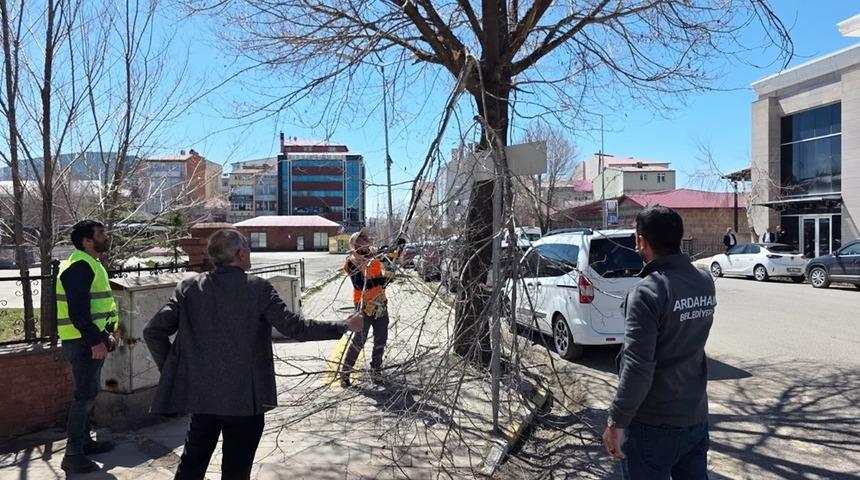 Belediye ekiplerinden ağa&ccedil; budama &ccedil;alışması