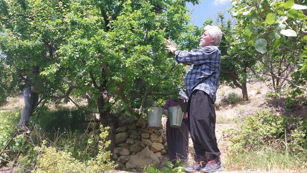 Rekor fiyat vardı, 10 bin TL ye satılmıştı: Şimdi 30-170 TL arası 3