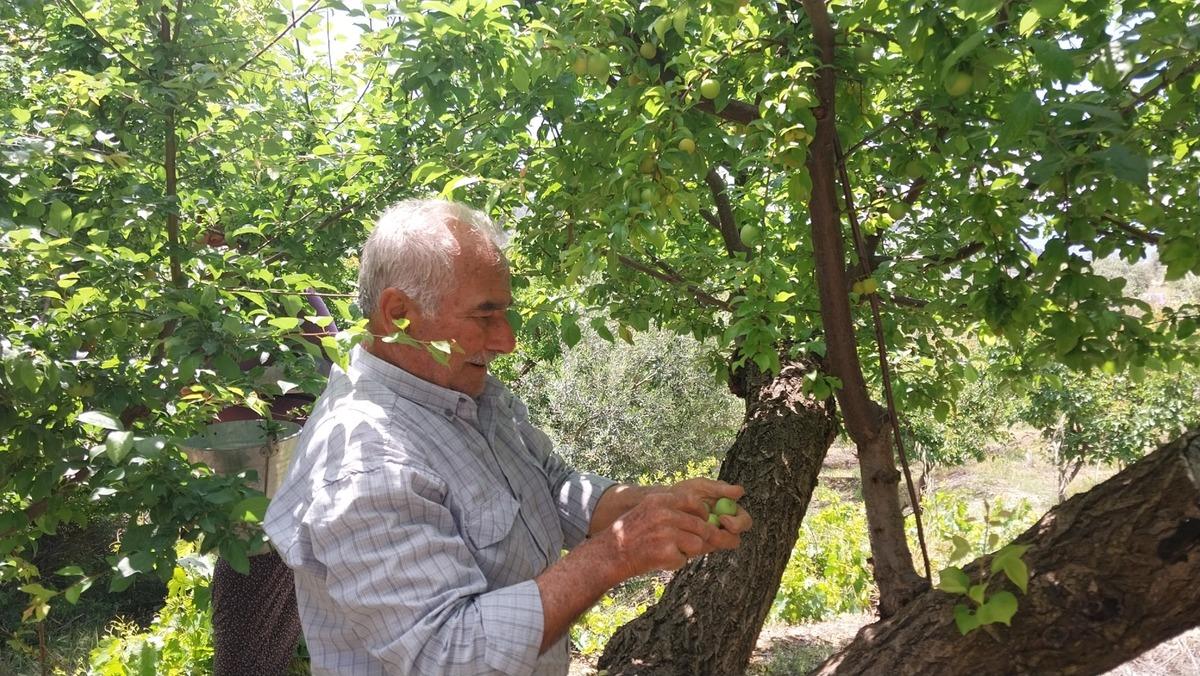 Rekor fiyat vardı, 10 bin TL ye satılmıştı: Şimdi 30-170 TL arası 5