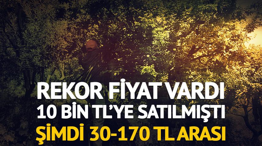 Rekor fiyat vardı, 10 bin TL'ye satılmıştı: Şimdi 30-170 TL arası