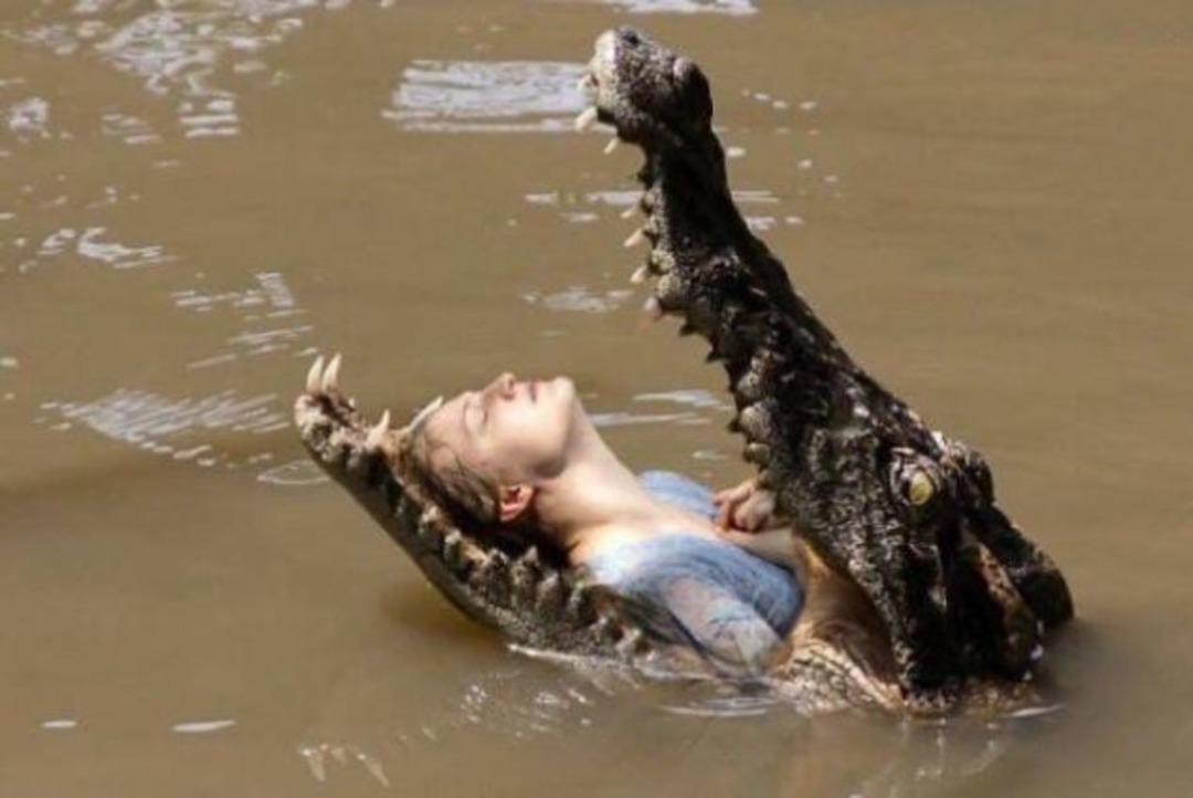 B&ouml;yle &ccedil;ılgınlık g&ouml;r&uuml;lmedi