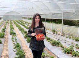 Kariyerini bırakıp çilek üretmeye başladı, pazara bile çıkmadan hepsini sattı!