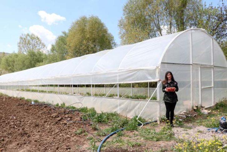 Kariyerini bırakıp çilek üretmeye başladı, pazara bile çıkmadan hepsini sattı! G2