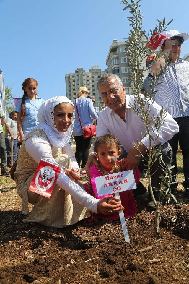 Mezitli’de onkoloji hastaları için zeytin koruluğu oluşturuldu